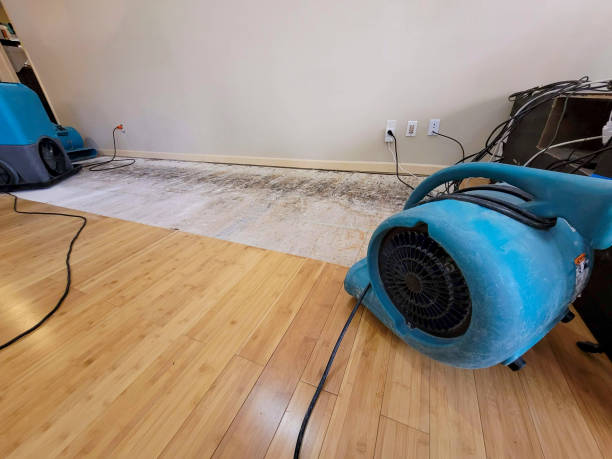 Professional Basement Flood Cleanup technician working in Nazareth, PA